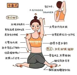 -JC·YOGA静禅瑜伽普拉提