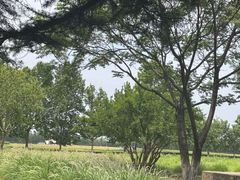 -汉长安城未央宫国家考古遗址公园