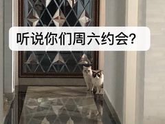 -还是那家•秘制活鱼现烤•香辣美蛙(独墅湖邻里中心店)