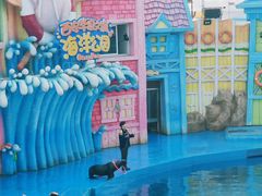 -华夏文旅海洋公园