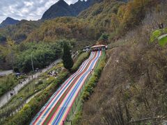 -栾川竹海野生动物园