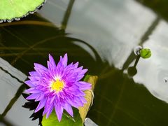 -国家植物园