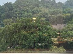 -七欣天香辣蟹火锅(南京建宁路大观天地店)