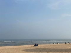 -渡海小渔村.老辈日照菜