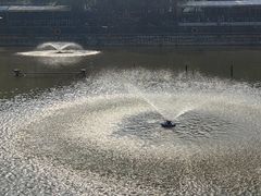 -尚庄度假村·庭台树下·户外烧烤·团建CS·轰趴营地(上庄水库店)
