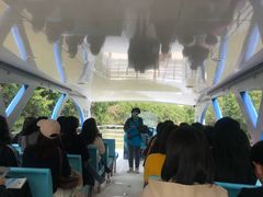 -大湾区中央湿地公园