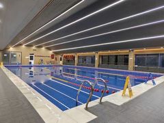 -鲨鱼游泳培训中心