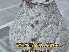 -武当山风景区