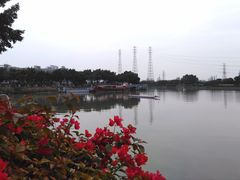 -黄埔古港