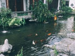 -齐汇维景大酒店游泳馆(山东政协大厦齐汇维景)