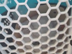 -伟伟宠物医院·CT影像中心·瑞派犬猫综合性门诊(汉口总院)