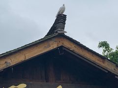 -两江国际影视城