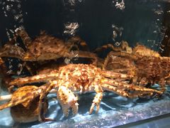 -蟹的岡田屋(正大广场店)