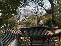 -西泠印社