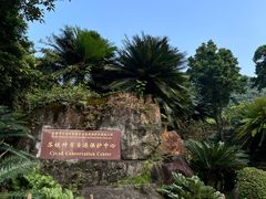 -深圳仙湖植物园
