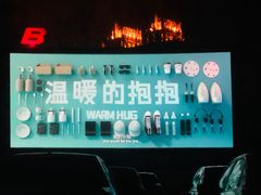 -枫花园汽车电影院(朝阳公园店)