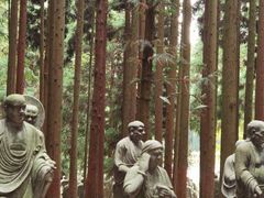 -武陵山森林公园