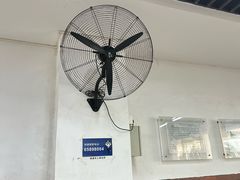-丹东路渡口(轮渡站)