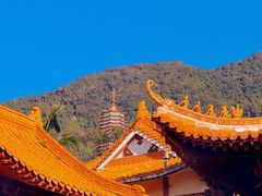 -深圳仙湖植物园