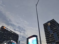 -阿五黄河大鲤鱼(海尚店)