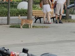 -南翔镇银翔湖公园