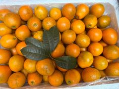 -Ole精品超市(南宁万象城店)