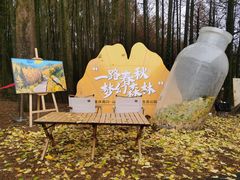 -山王坪喀斯特国家生态公园