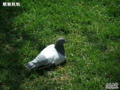 -北京大学肿瘤医院