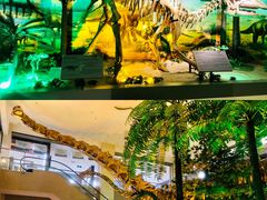 -甘肃地质博物馆