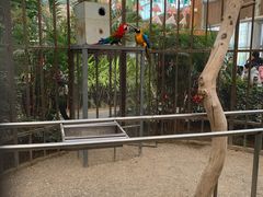 -南宫五洲植物乐园