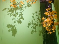 -金链花·泰国餐厅(国贸店)