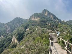 -大岭沟猕猴桃谷风景区