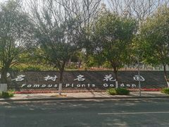 -东莞植物园