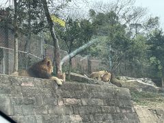 -乐和乐都主题乐园