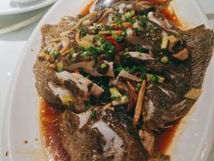 清蒸多宝鱼-上下九广州菜馆(锦业路店)