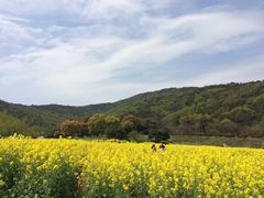 -龙寺生态园