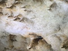 -巴马水晶宫