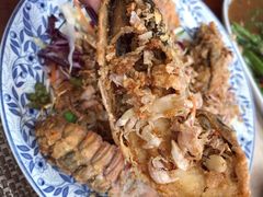 -卷心菜和避孕套餐厅(Pattaya)