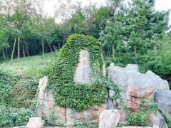 -竹子庵公园