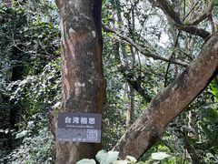 -海南热带野生动植物园