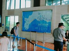 -广东惠东海龟国家级自然保护区