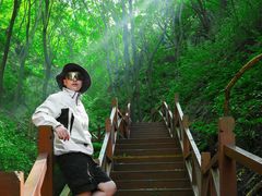 -大岭沟猕猴桃谷风景区