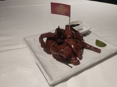 -侨美·唐荔园·40年地道粤菜