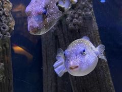 -成都浩海立方海洋公园