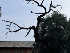 -华夏良子·足道SPA艾灸(龙潭路店)