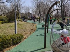 -唐岛湾公园