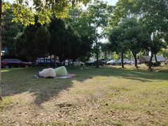 -金银湖国家城市湿地公园