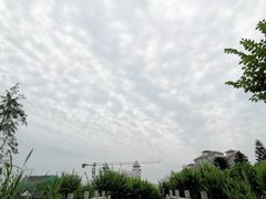 -映月湖公园