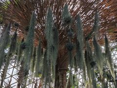 -上海辰山植物园