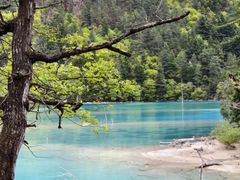 -西姆山居酒店(九寨沟沟口店)